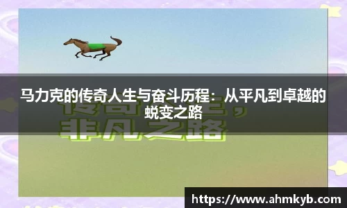 JN江南体育官网