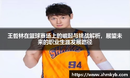 王哲林在篮球赛场上的崛起与挑战解析，展望未来的职业生涯发展路径