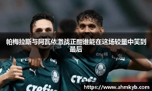 帕梅拉斯与阿瓦依激战正酣谁能在这场较量中笑到最后